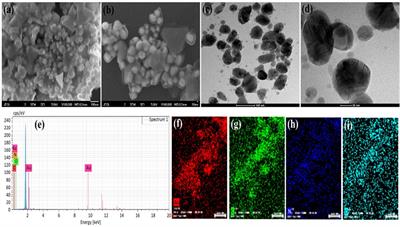 Green synthesis of gold and silver nanoparticles using crude extract of Aconitum violaceum and evaluation of their antibacterial, antioxidant and photocatalytic activities